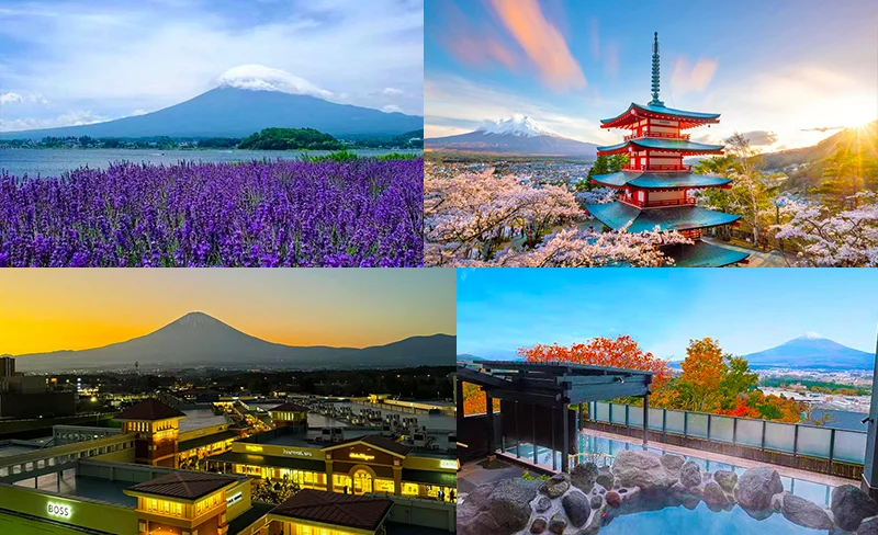 [Fuji Flower Viewing + Shopping or Hot Spring Tour] Arakurayama Park & Hikawa Watch Shop & Kawaguchiko Yagizaki Park or Kawaguchiko Oishi Park & Outlet or Hot Spring Bathing at the Foot of Mt. Fuji Day Tour