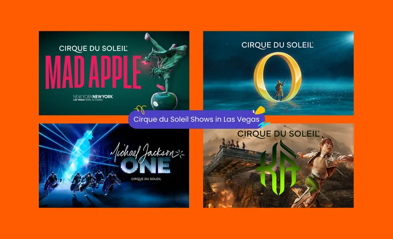 Cirque du Soleil Show Ticket in Las Vegas