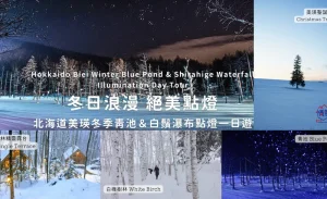 Hokkaido | Biei Winter Blue Pond & Shirasuga Falls Illumination Day Tour | Departing from Sapporo
