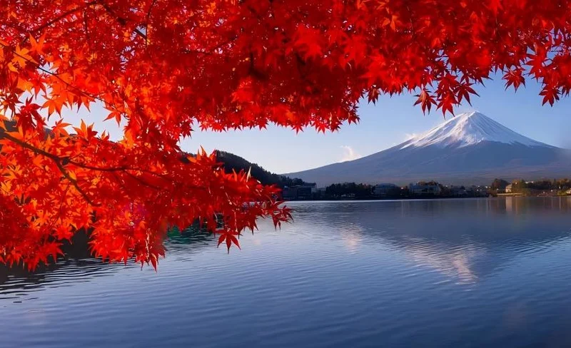 Mt. Fuji Twin Lakes Scenery Exploration Day Tour ( from Tokyo)