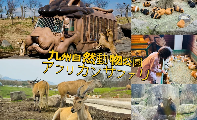 Oita｜Kyushu Zoo, Yufudake, and Yufuin Day Tour｜Depart from Fukuoka