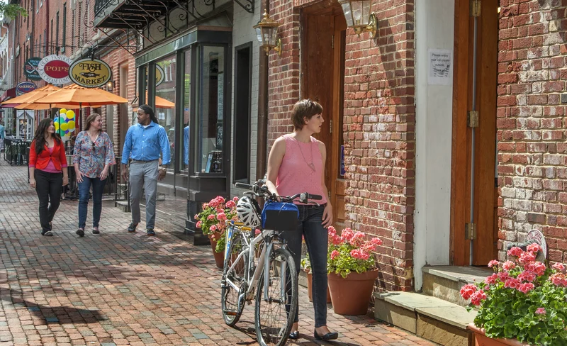Alexandria to Mount Vernon eBike Rentals