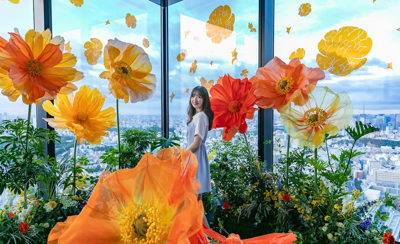 Snap photo shooting experience (Tokyo)