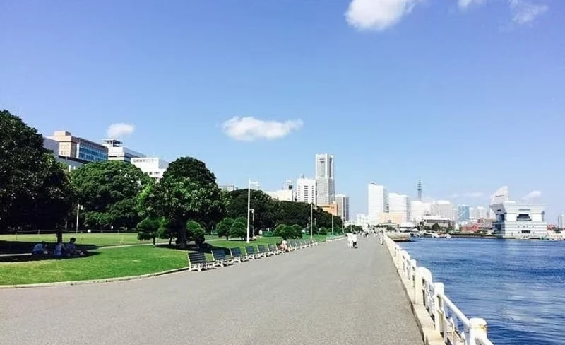 Yokohama / Kamakura 6hr Private Trip Government-Licensed Guide