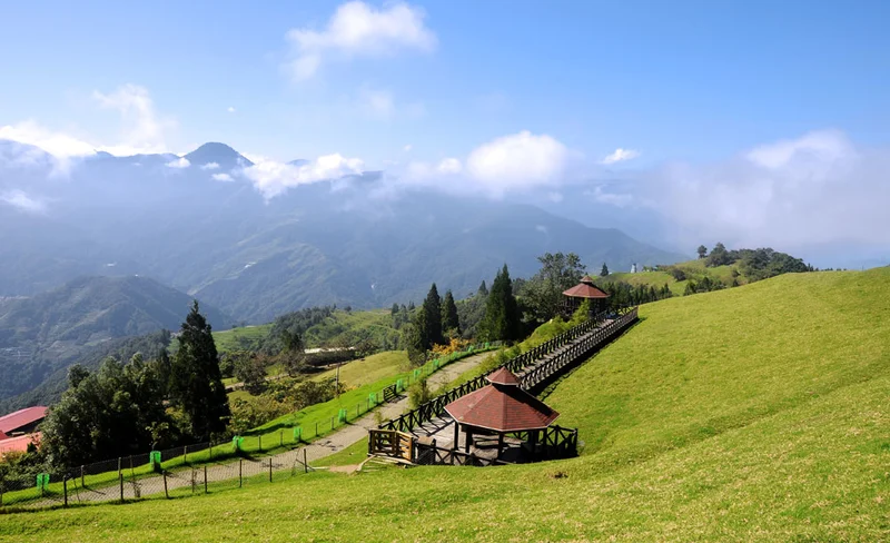 Private Car charter for Qingjing Farm - Departure from Taiuchung