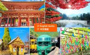 Dazaifu, Nyoirinji Temple, Yufuin, Yufuin no mori Day Tour