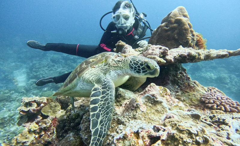 Green Island Diving in Taitung by Fire Islands