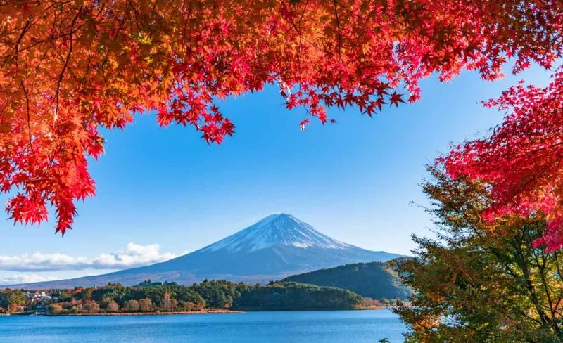 Mount Fuji One-day Tour by Chartered Car