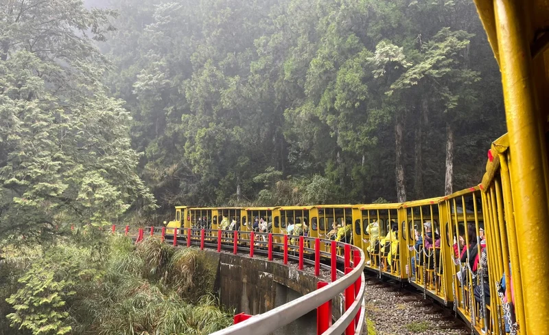 Taipingshan National Forest Recreation Area Day Tour in Yilan