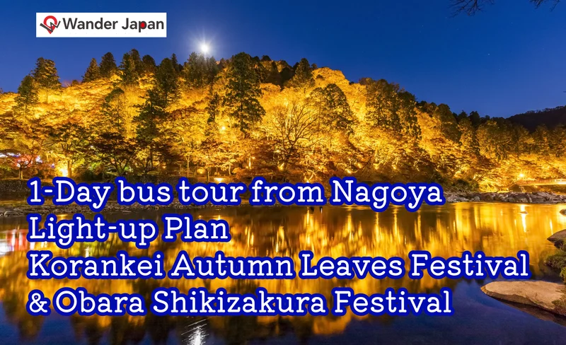 1-Day Korankei Autumn Leaves Tour from Nagoya Light-up Plan