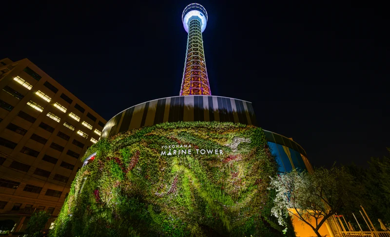 Yokohama Marine Tower Observation Floor Ticket