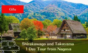 World Heritage Shirakawago and Takayama Private Tour from Nagoya