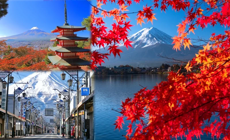 One-day tour of 6 major attractions around Mount Fuji | 5th station & 5-story pagoda & Honmachi shopping street & Oishi Park (departing from Tokyo)