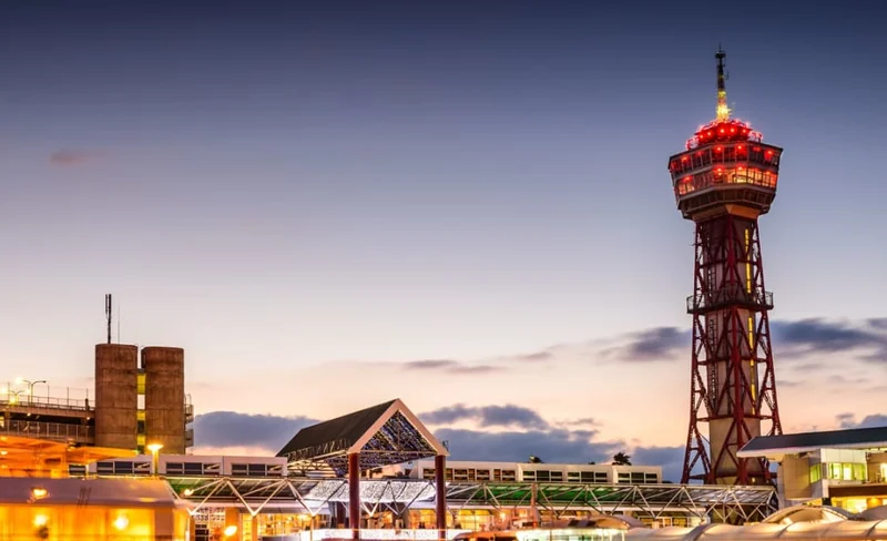 Fukuoka City, Hakata Port Private One Day Cruise Tour