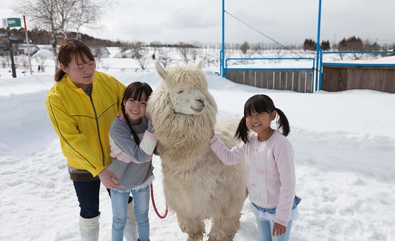 Boka no Sato Snow Park & Onsen Day Tour from Nagoya