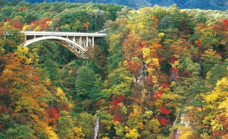 Naruko Gorge Autumn Leaves & Ginzan Onsen One Day Bus Tour
