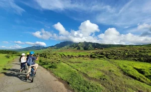 Mt. Aso Volcano & Grasslands Cycling Tour with Private E-MTB Guide
