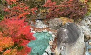 Hirayu and Shin-Hodaka Hot Spring Experience from Takayama