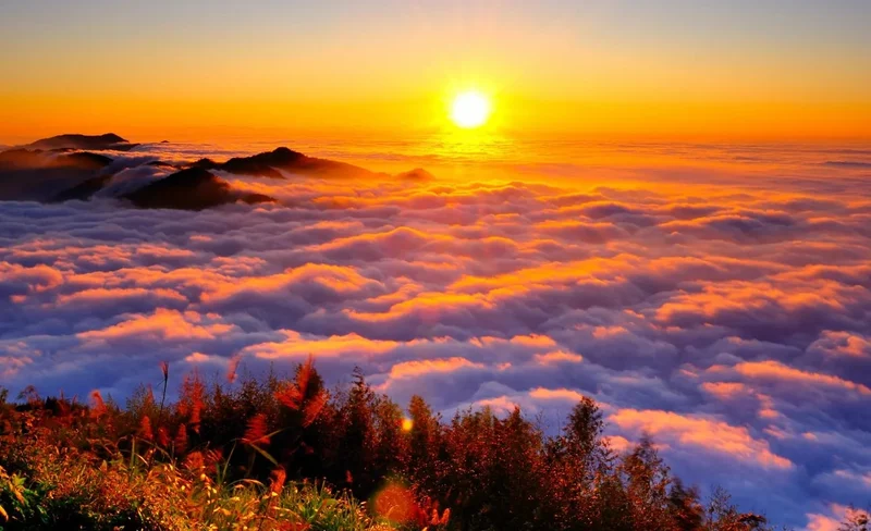 Cruise Bus between Chiayi and Alishan