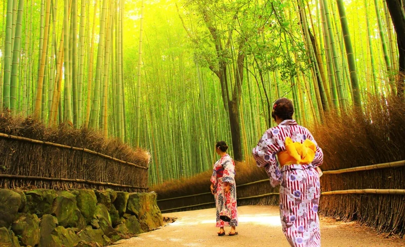 Walking Tour of Western Kyoto : Arashiyama, Kinkakuji and Koboshi