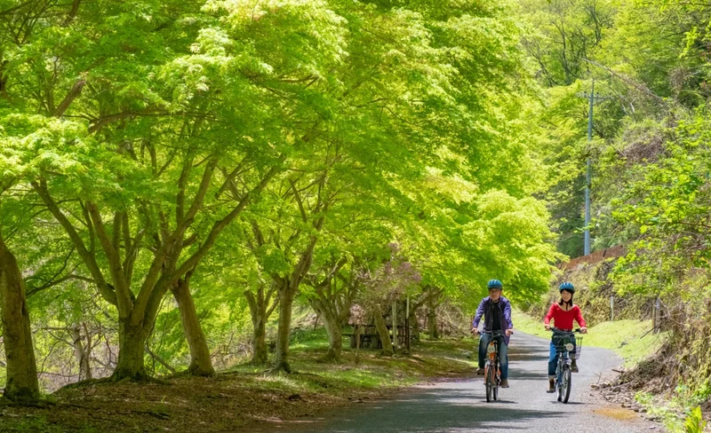 Tokyo Metropolis, Okutama Historical Road Half Day Cycling Tour