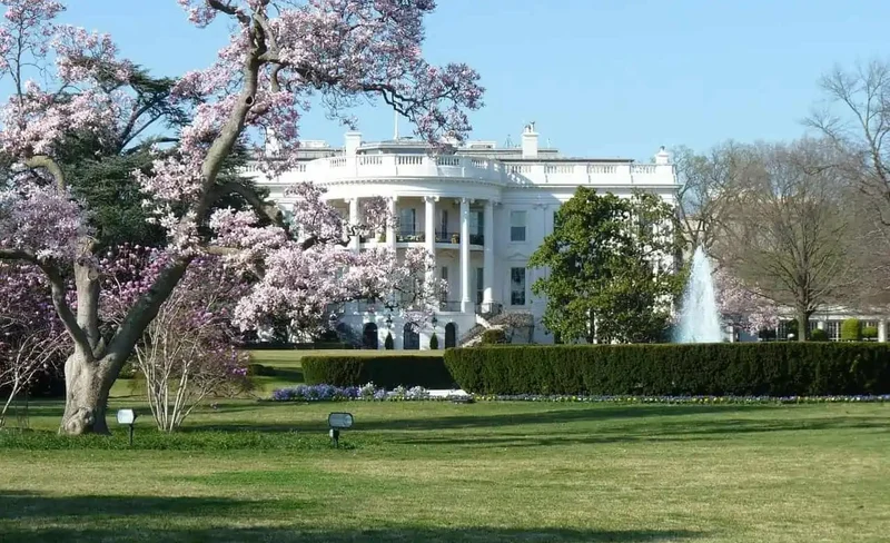 The Capitol Building, White House,& Memorials Half-Day Tour
