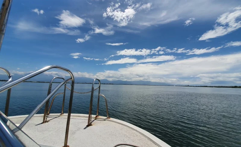 Yachting experience in Dapeng Bay, All-you-can-eat fresh grilled oysters