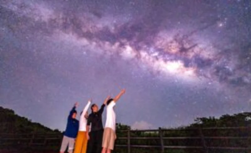 Iriomote Island Starry Sky & Jungle Night Tour (Okinawa)