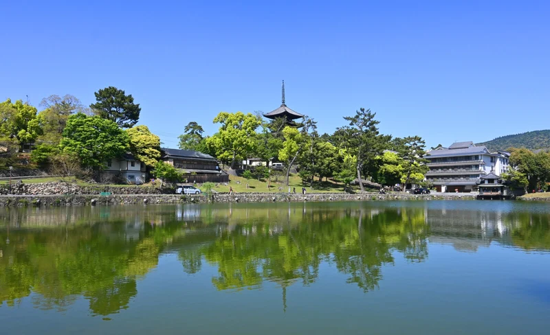 1-Day Walking Tour in Nara: Palace, Deer and Inkstick