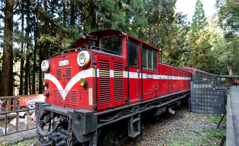 Alishan Forest Railway 1-Day & Multi-Day Tour from Taichung
