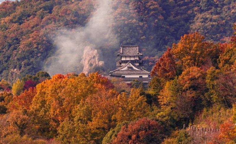Nagoya Inuyama Castle & Ena Gorge & Magome-juku & Tsumago-juku one-day tour | Departing from Nagoya