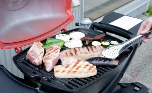 Japanese Beef and Mochi Pork BBQ Experience (Niigata)