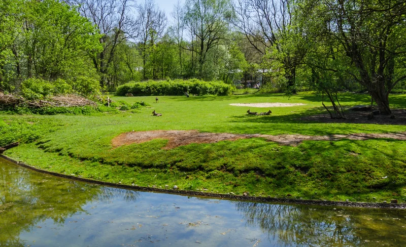 Central Park Self-Guided Audio Tour in New York