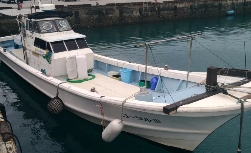 Half-Day Fishing Experience in Naha with Pick up & Drop off Service