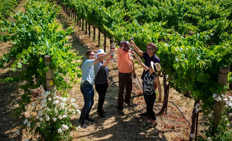 Redwoods and California Wine Country Tour from San Francisco