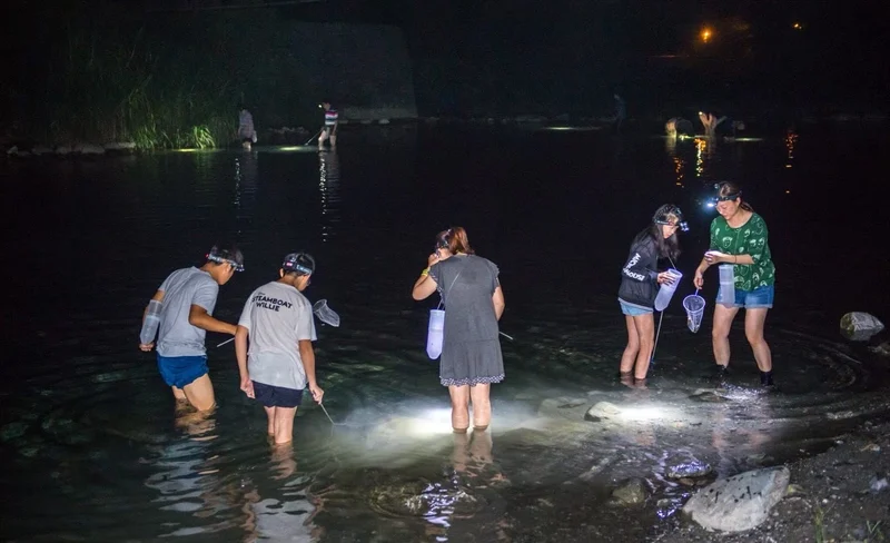 Hualien | Shrimp Catch & BBQ Experience at Night