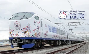 JR Haruka Kansai Airport Express Ticket