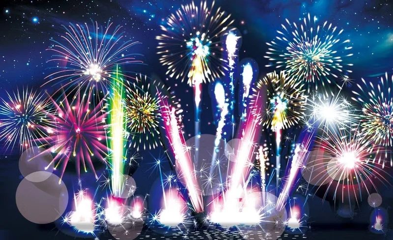 Aichi - The 4th HANABI KOSHIEN Ticket
