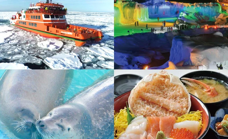 Icebreaker Experience & Sounkyo Ice Festival Day Tour from Sapporo
