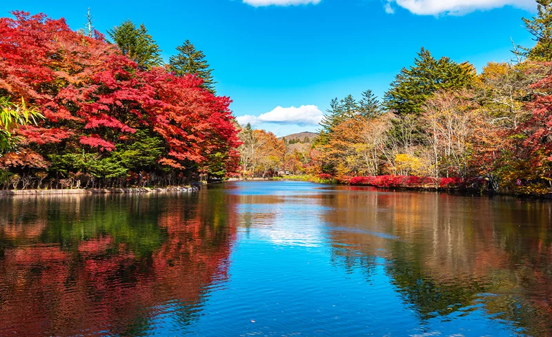 Karuizawa & Kawagoe One Day Tour from Tokyo