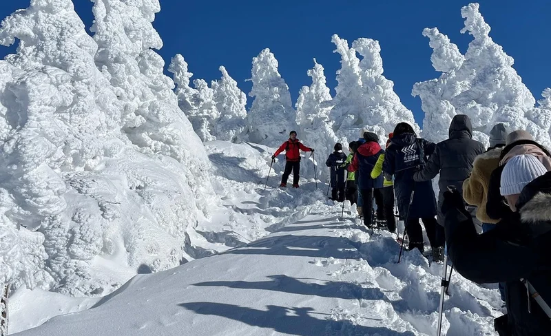 Empty-Handed Hakkoda Juhyo（Icemonster）Walking Tour