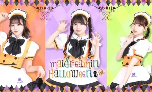 Maid Cafe Experience Maidreamin (Tokyo)