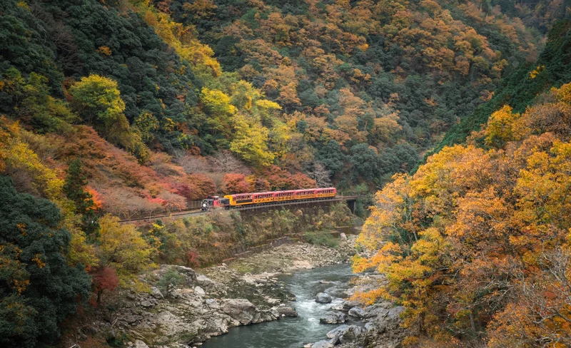 Arashiyama Train & World Heritage "Byodo-in" Day Trip