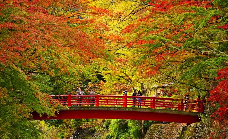[Autumn Maple] Hakone & Mishima Skywalk & Shuzenji Tour （from Tokyo）