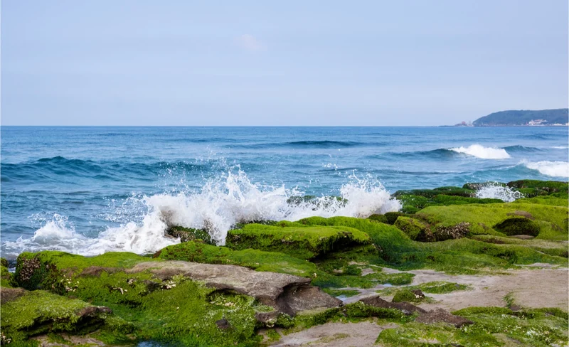 Three-day tour of Yilan & Shifen & Jiufen & Yehliu & North Coast | Departing from Taipei