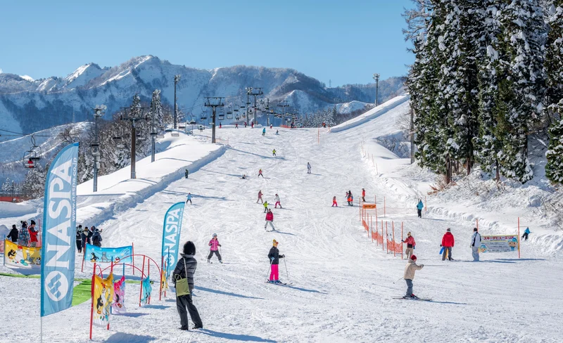 Niigata: NASPA Ski Garden ski resort small class teaching (Chinese & Cantonese SAJ instructor) (Departing from Tokyo)