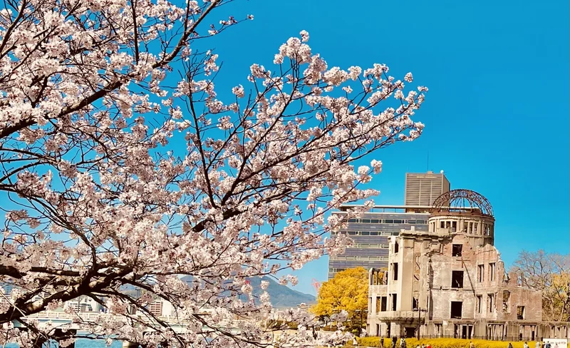 (PRIVATE TOUR) Explore Hiroshima City in Half a Day