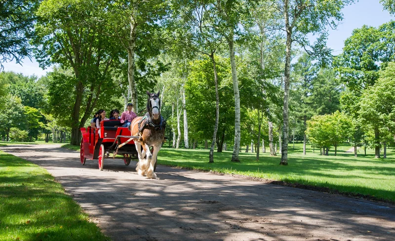 Northern Horse Park Ticket in Tomakomai, Hokkaido