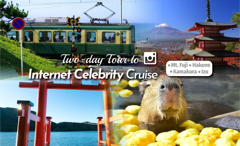 Mount Fuji, Hakone, Kamakura, Izu, hot spring hotels 2-day tour