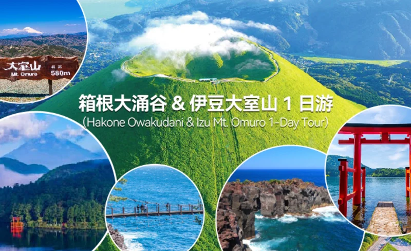 Hakone Shrine, Mt. Omuro & Jogasaki Coast Day Tour from Tokyo
